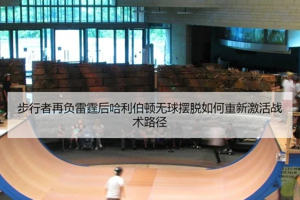 bu-xing-zhe-zai-fu-lei-ting-hou-ha-li-bo-dun-wu-qiu-bai-tuo-ru-he-chong-xin-ji-huo-zhan-shu-lu-jing-2-801.jpg