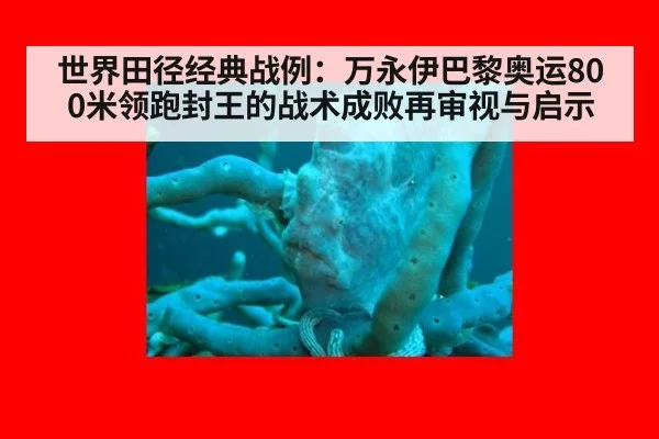 世界田径经典战例:万永伊巴黎奥运800米领跑封王的战术成败再审视与启示